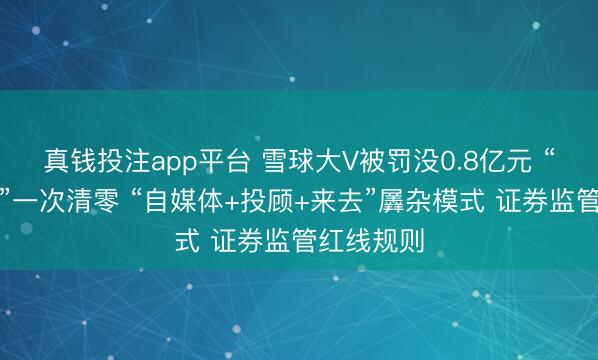 真钱投注app平台 雪球大V被罚没0.8亿元 “流量变现”一次清零 “自媒体+投顾+来去”羼杂模式 证券监管红线规则