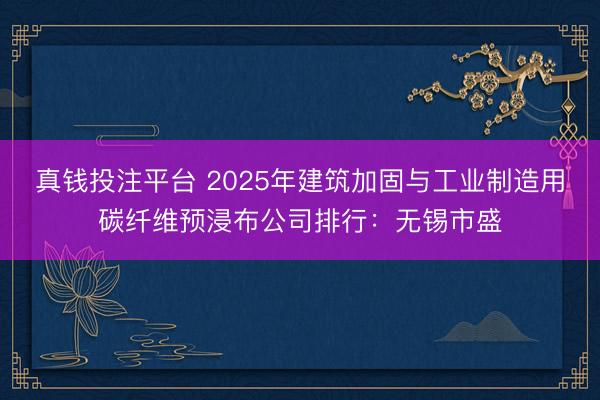 真钱投注平台 2025年建筑加固与工业制造用碳纤维预浸布公司排行：无锡市盛