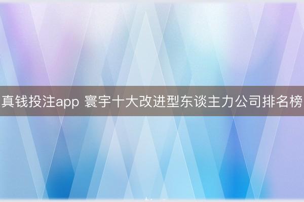 真钱投注app 寰宇十大改进型东谈主力公司排名榜