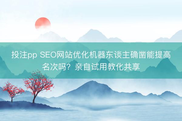 投注pp SEO网站优化机器东谈主确凿能提高名次吗？亲自试用教化共享