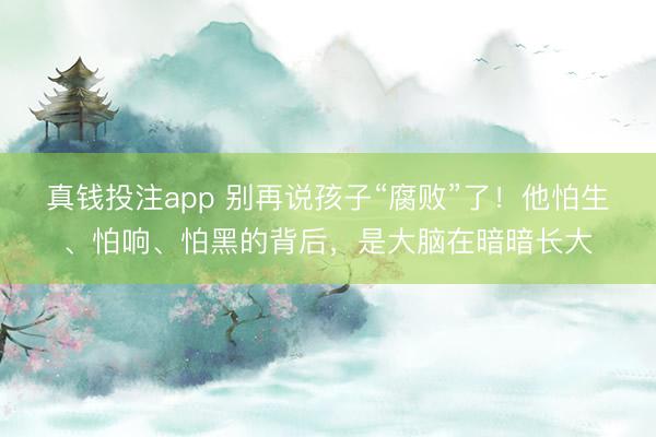 真钱投注app 别再说孩子“腐败”了！他怕生、怕响、怕黑的背后，是大脑在暗暗长大