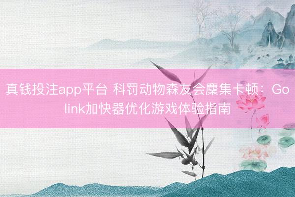真钱投注app平台 科罚动物森友会麇集卡顿：Golink加快器优化游戏体验指南