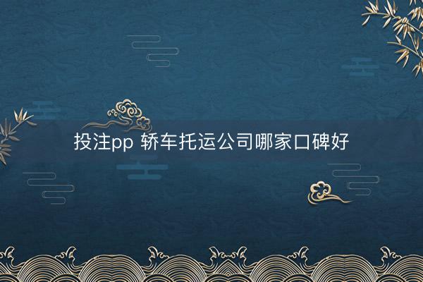 投注pp 轿车托运公司哪家口碑好