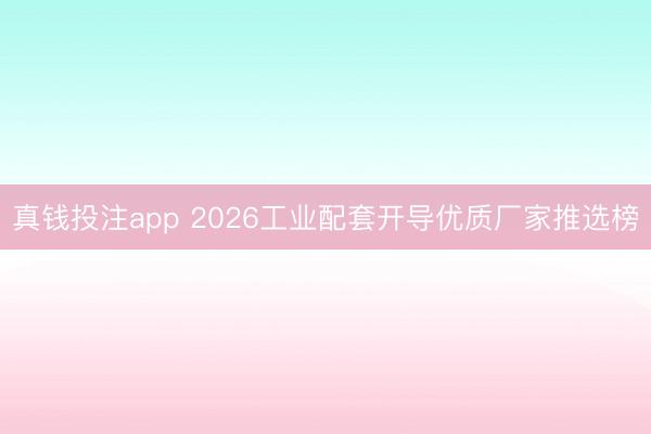 真钱投注app 2026工业配套开导优质厂家推选榜