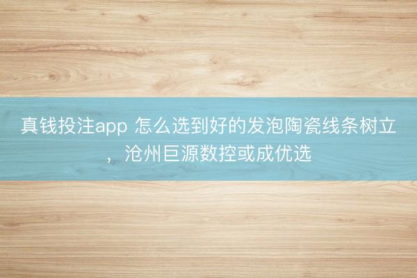 真钱投注app 怎么选到好的发泡陶瓷线条树立，沧州巨源数控或成优选