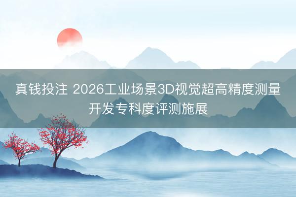 真钱投注 2026工业场景3D视觉超高精度测量开发专科度评测施展