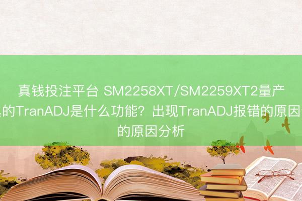 真钱投注平台 SM2258XT/SM2259XT2量产用具的TranADJ是什么功能？出现TranADJ报错的原因分析