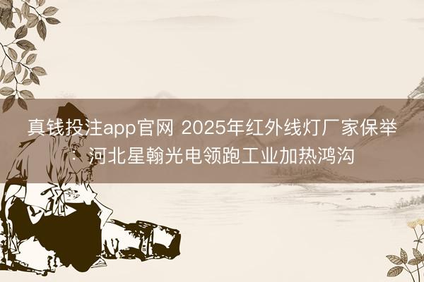 真钱投注app官网 2025年红外线灯厂家保举:河北星翰光电领跑工业加热鸿沟