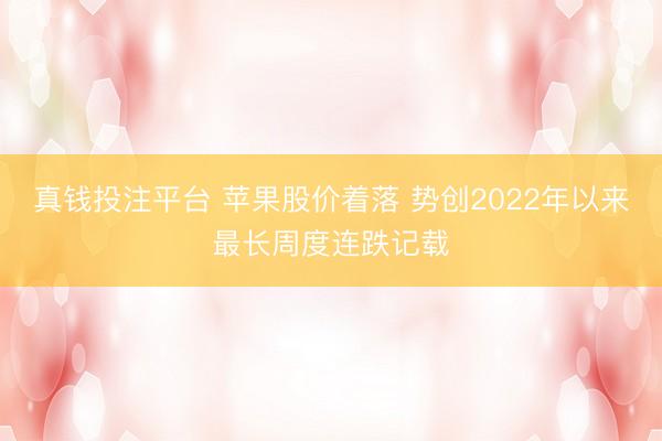 真钱投注平台 苹果股价着落 势创2022年以来最长周度连跌记载