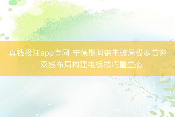真钱投注app官网 宁德期间钠电破局极寒贫穷，双线布局构建电板技巧重生态