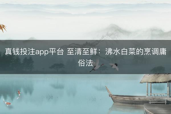 真钱投注app平台 至清至鲜：沸水白菜的烹调庸俗法