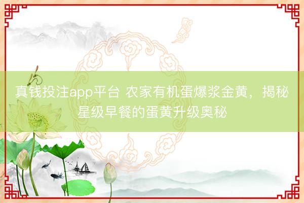 真钱投注app平台 农家有机蛋爆浆金黄，揭秘星级早餐的蛋黄升级奥秘