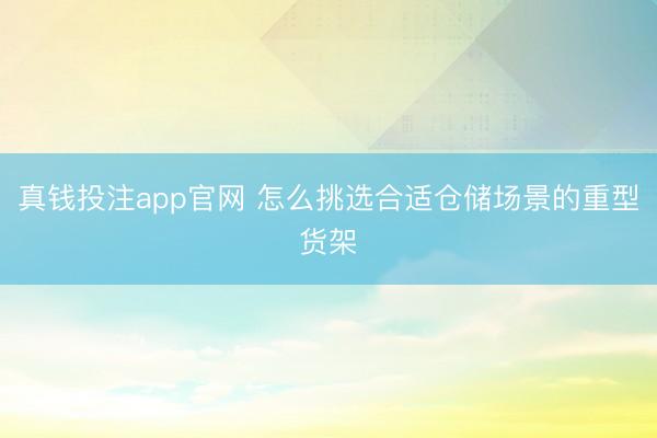 真钱投注app官网 怎么挑选合适仓储场景的重型货架