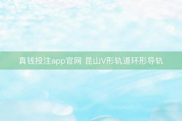 真钱投注app官网 昆山V形轨道环形导轨