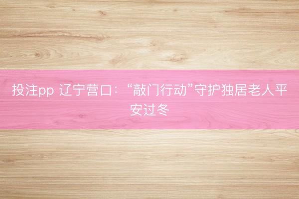 投注pp 辽宁营口：“敲门行动”守护独居老人平安过冬