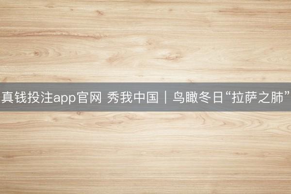 真钱投注app官网 秀我中国｜鸟瞰冬日“拉萨之肺”