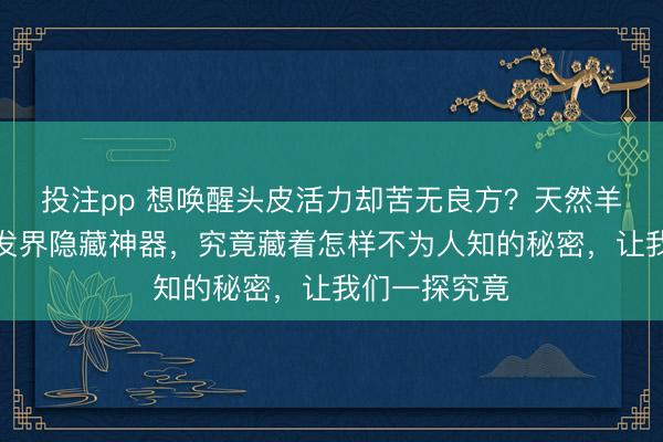 投注pp 想唤醒头皮活力却苦无良方？天然羊角梳堪称护发界隐藏神器，究竟藏着怎样不为人知的秘密，让我们一探究竟
