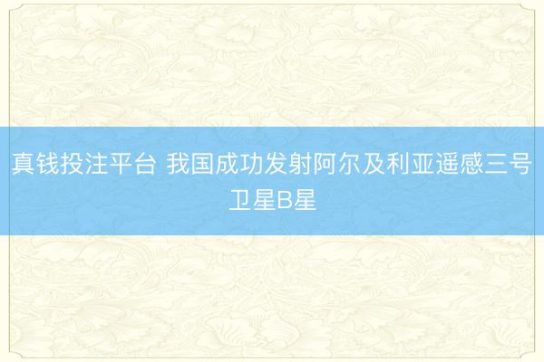 真钱投注平台 我国成功发射阿尔及利亚遥感三号卫星B星
