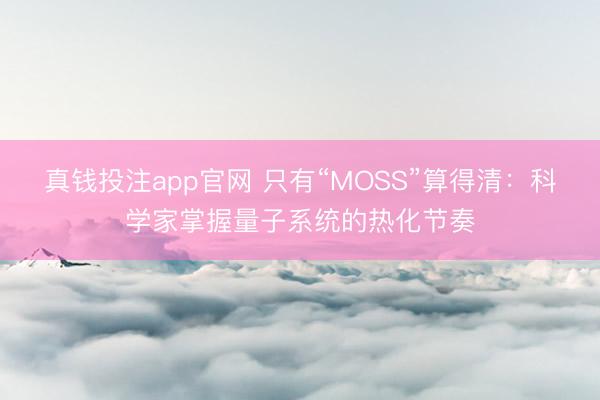 真钱投注app官网 只有“MOSS”算得清：科学家掌握量子系统的热化节奏