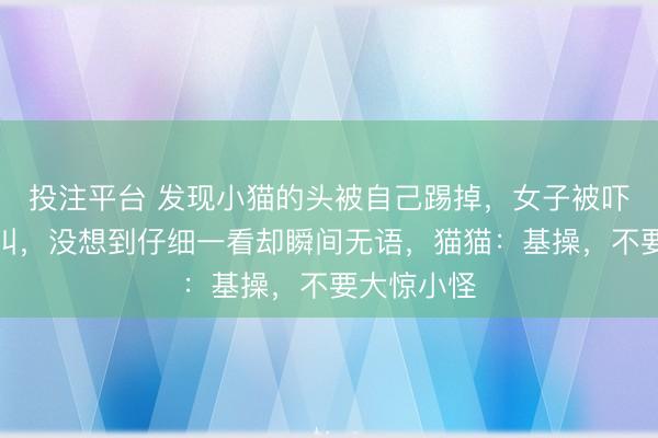 投注平台 发现小猫的头被自己踢掉，女子被吓到疯狂尖叫，没想到仔细一看却瞬间无语，猫猫：基操，不要大惊小怪