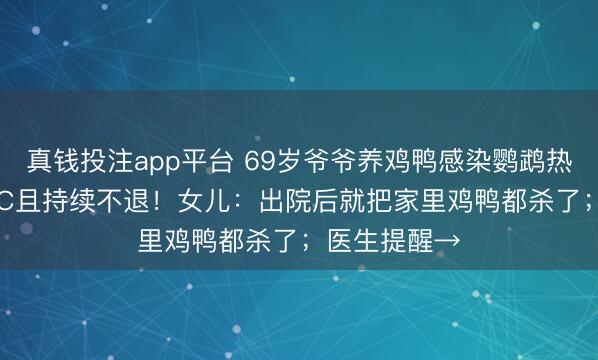 真钱投注app平台 69岁爷爷养鸡鸭感染鹦鹉热,高烧39.8℃且持续不退!女儿:出院后就把家里鸡鸭都杀了;医生提醒→