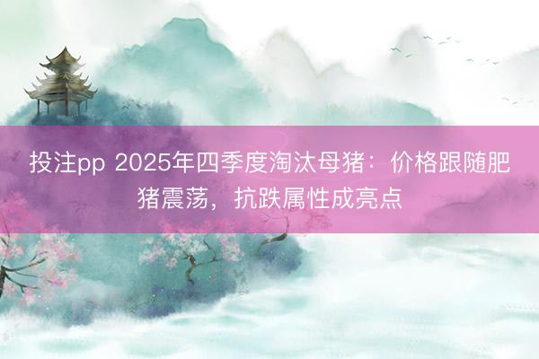 投注pp 2025年四季度淘汰母猪：价格跟随肥猪震荡，抗跌属性成亮点