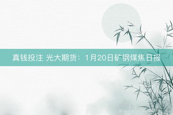 真钱投注 光大期货:1月20日矿钢煤焦日报
