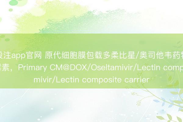 真钱投注app官网 原代细胞膜包载多柔比星/奥司他韦药物载体/凝集素/阿霉素，Primary CM@DOX/Oseltamivir/Lectin composite carrier