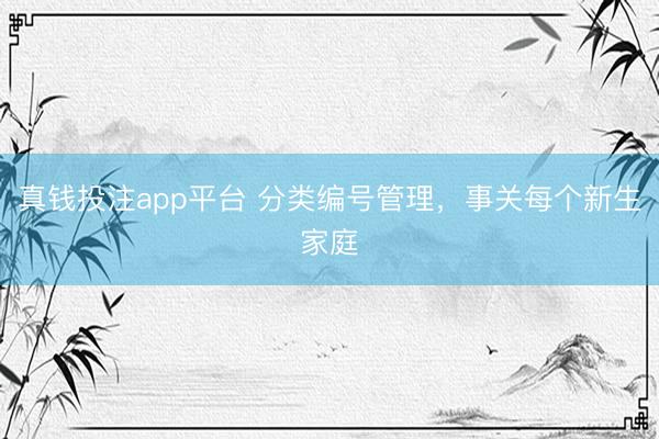 真钱投注app平台 分类编号管理，事关每个新生家庭