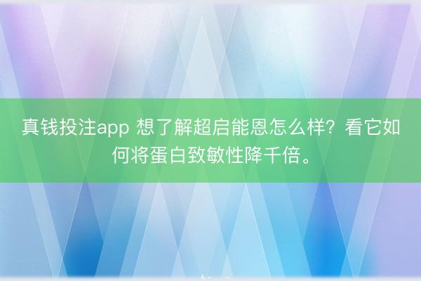 真钱投注app 想了解超启能恩怎么样？看它如何将蛋白致敏性降千倍。