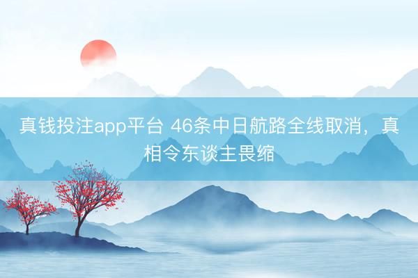 真钱投注app平台 46条中日航路全线取消，真相令东谈主畏缩