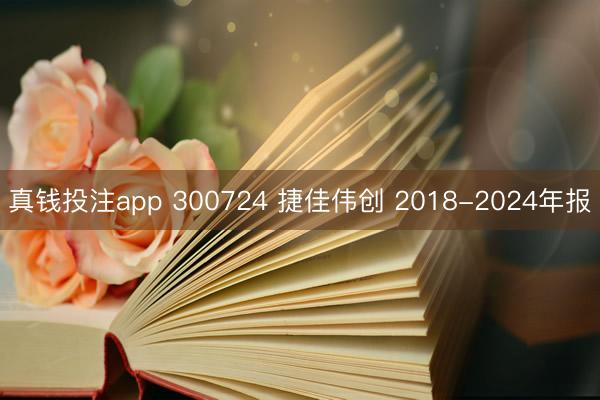 真钱投注app 300724 捷佳伟创 2018-2024年报
