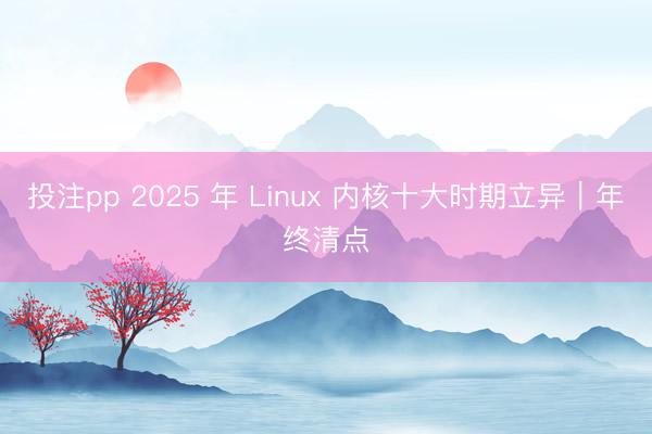 投注pp 2025 年 Linux 内核十大时期立异｜年终清点