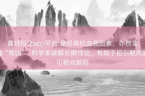 真钱投注app平台 是经典抗血癌因素，亦然实体瘤 “帮凶”：科学家破解长期悖论，有助于招引靶向新药