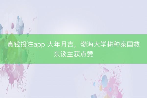 真钱投注app 大年月吉，渤海大学耕种泰国救东谈主获点赞