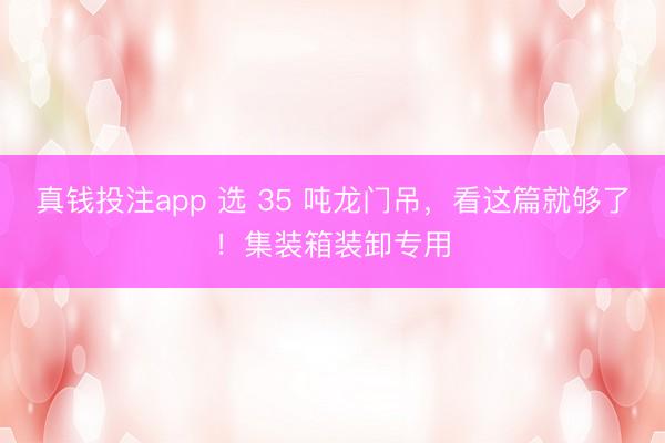 真钱投注app 选 35 吨龙门吊，看这篇就够了！集装箱装卸专用