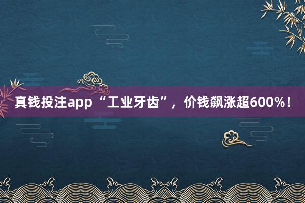 真钱投注app “工业牙齿”，价钱飙涨超600%！
