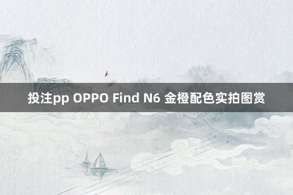 投注pp OPPO Find N6 金橙配色实拍图赏