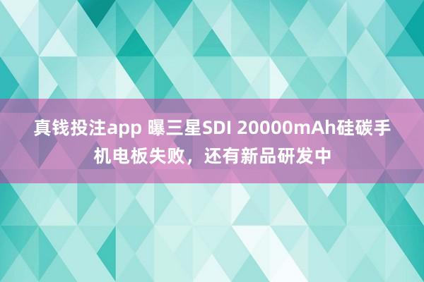 真钱投注app 曝三星SDI 20000mAh硅碳手机电板失败，还有新品研发中