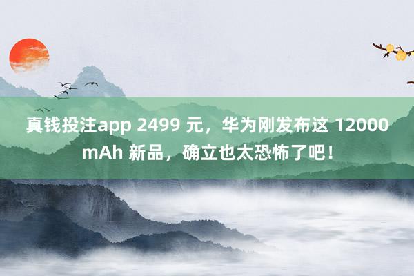 真钱投注app 2499 元，华为刚发布这 12000mAh 新品，确立也太恐怖了吧！