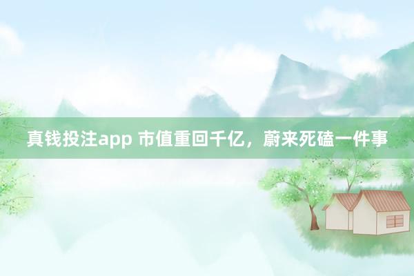 真钱投注app 市值重回千亿，蔚来死磕一件事
