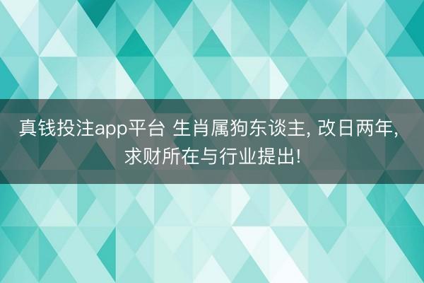 真钱投注app平台 生肖属狗东谈主, 改日两年, 求财所在与行业提出!