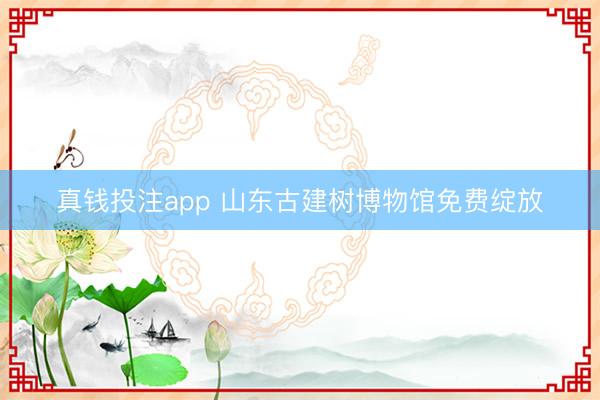 真钱投注app 山东古建树博物馆免费绽放