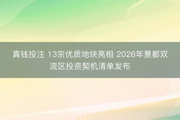 真钱投注 13宗优质地块亮相 2026年景都双流区投资契机清单发布
