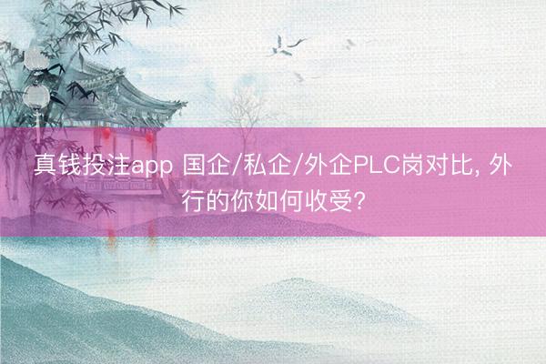 真钱投注app 国企/私企/外企PLC岗对比, 外行的你如何收受?