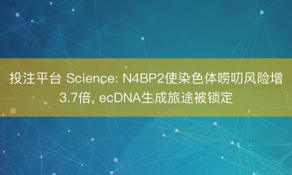 投注平台 Science: N4BP2使染色体唠叨风险增3.7倍, ecDNA生成旅途被锁定