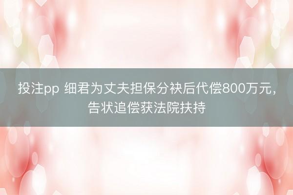 投注pp 细君为丈夫担保分袂后代偿800万元，告状追偿获法院扶持