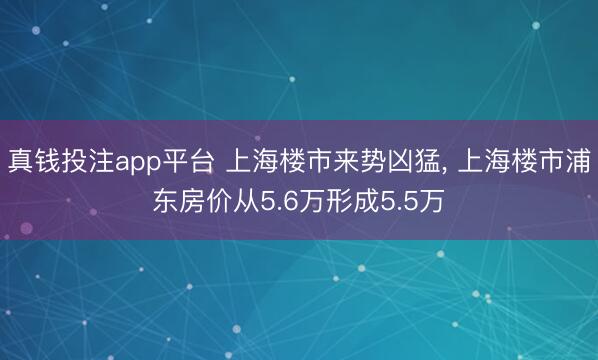 真钱投注app平台 上海楼市来势凶猛, 上海楼市浦东房价从5.6万形成5.5万