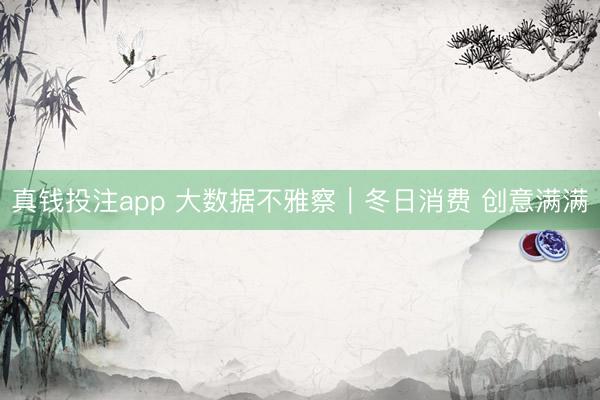 真钱投注app 大数据不雅察｜冬日消费 创意满满