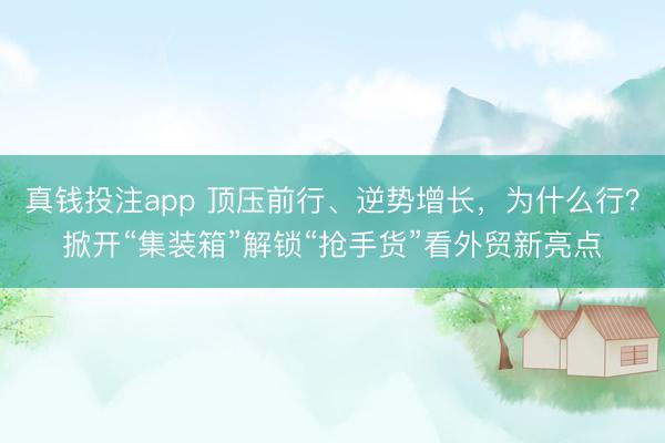 真钱投注app 顶压前行、逆势增长，为什么行？掀开“集装箱”解锁“抢手货”看外贸新亮点